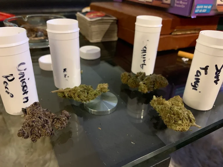 Cannibisters09 768x576