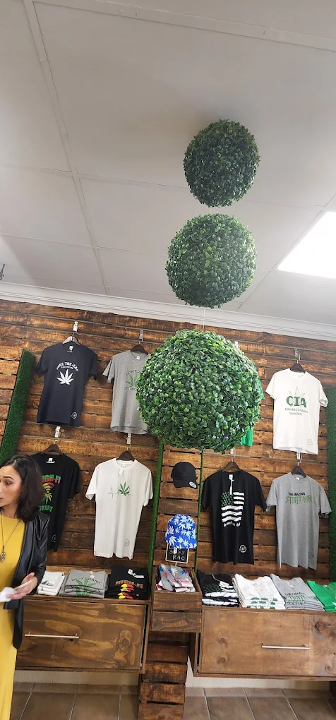 cannaporium cannabis dispensary sea point cape town interior 004