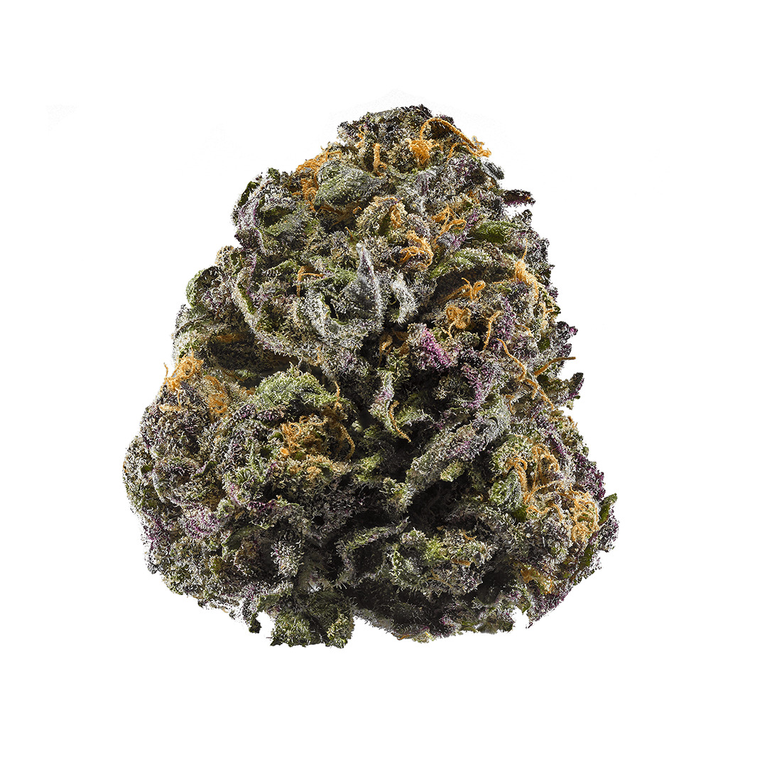 Granddaddy Purple GDP dense Indica strain bud with visible violet color