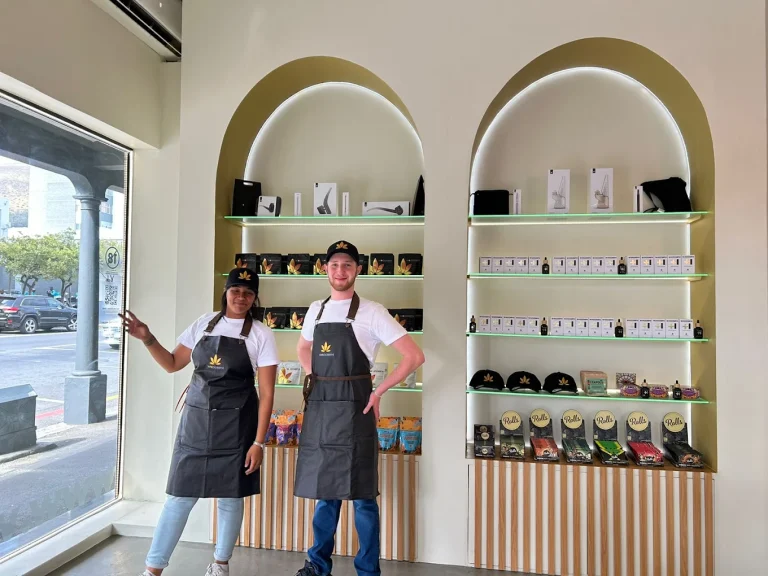 whoomph cannabis dispensary sea point capetown 004 768x576