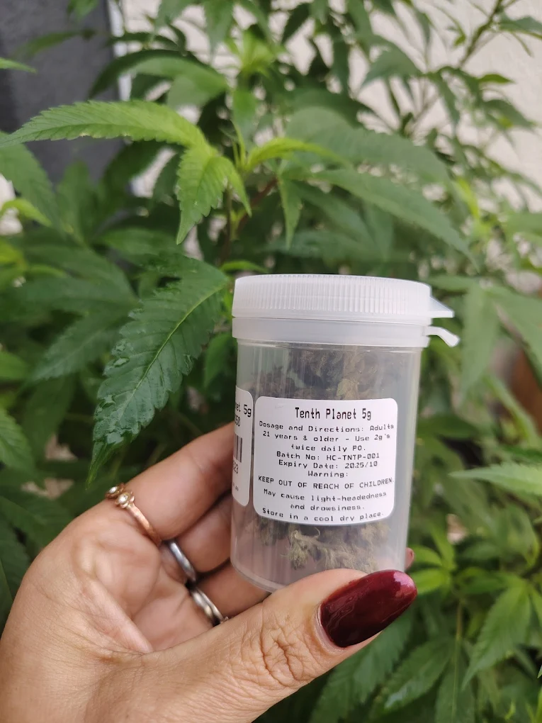 Rooftop 420 Sea Point cannabis flower product Tenth Planet strain
