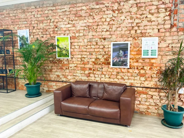 joy cannabis observatory sitting area 768x576