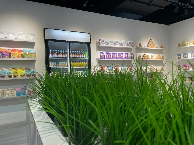 joy medical cannabis strand st interior 768x576