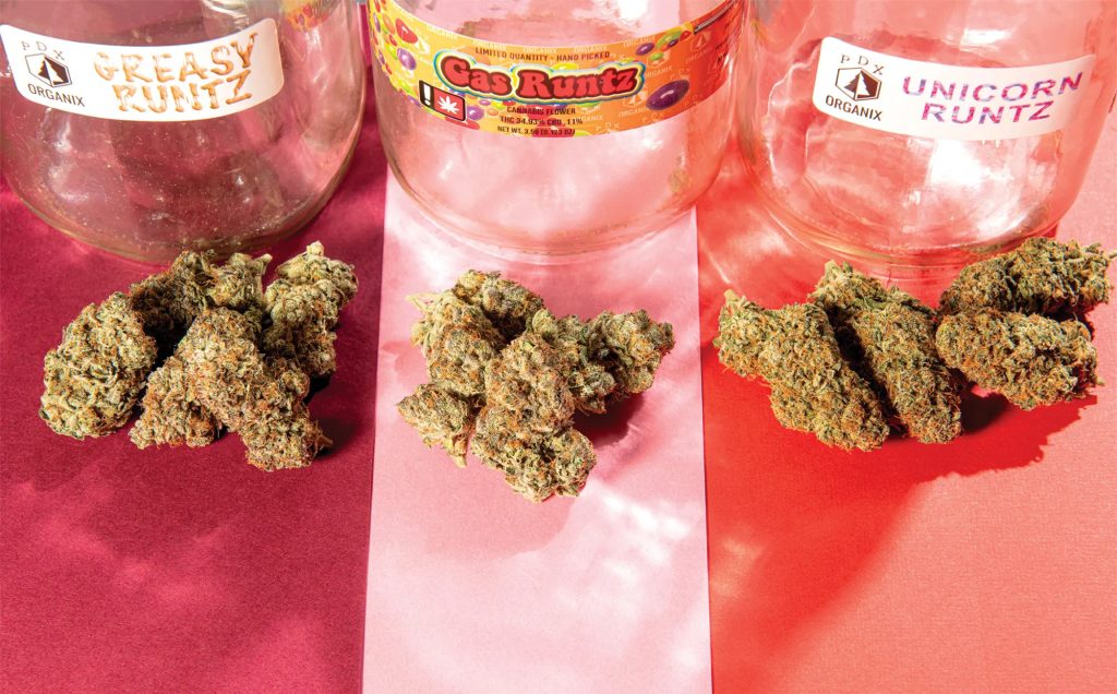 Assortment of premium Runtz cannabis strains in jars, featuring Greasy Runtz, Gas Runtz, and Unicorn Runtz buds with dense, frosty nugs and vibrant colors, perfect for discovering top hybrid weed strains online, including reviews, effects, THC levels, and seeds for sale.