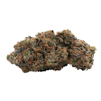 Bruce Banner