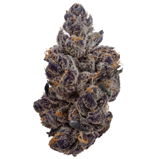 Gas Nana Strain