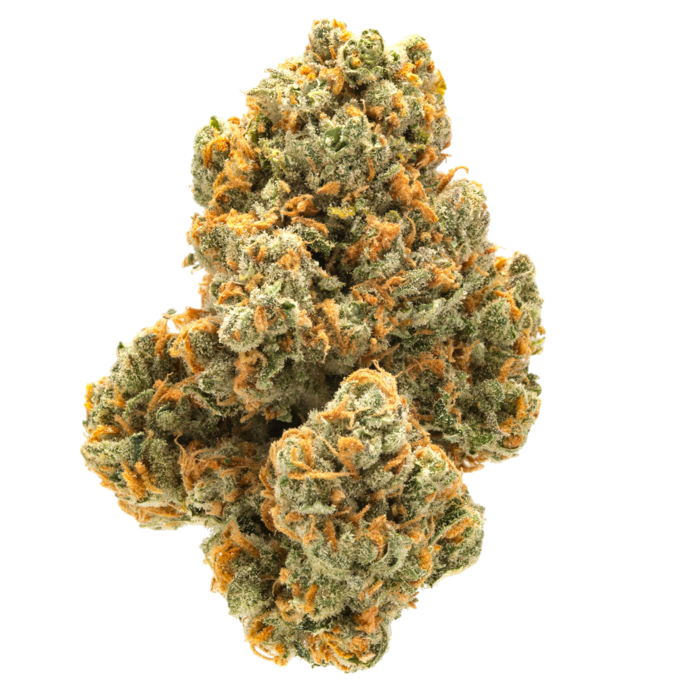 Green Crack Weed Strain Cannabis