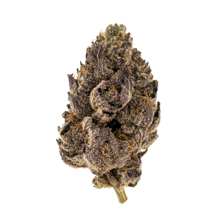 Military Chocolate Weed Strain Cannabis