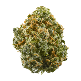 blue-dream-weed-strain-cannabis